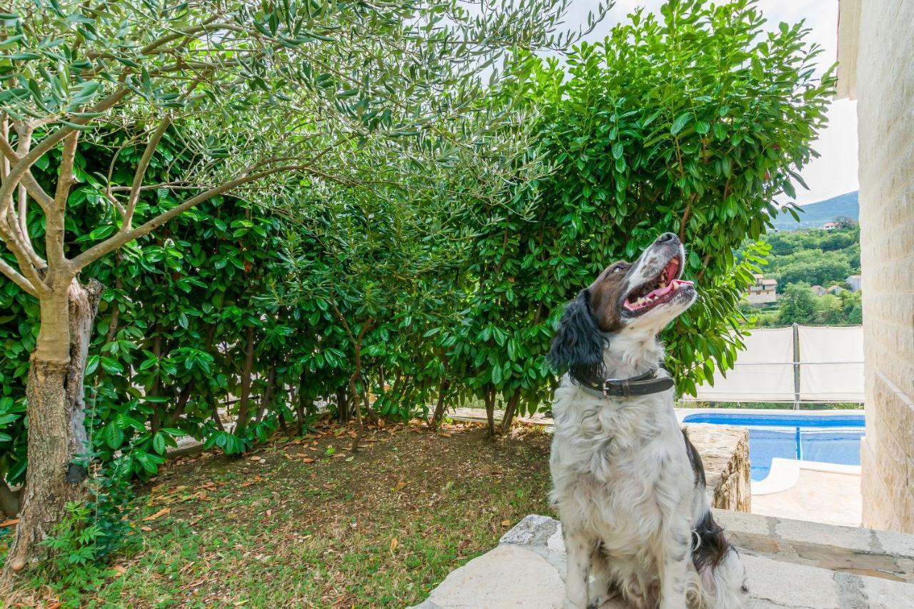 Villa Holiday Home Zvecanje מראה חיצוני תמונה
